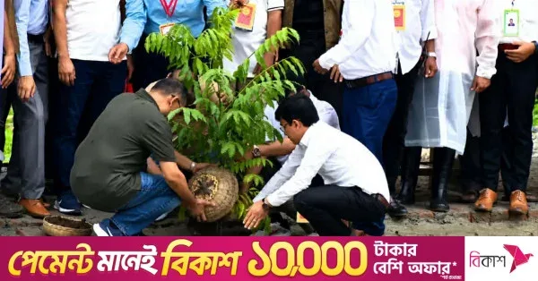বরিশাল সফরে প্রধানমন্ত্রী: বৃক্ষরোপণ ও ফ্যামিলি কার্ড বিতরণ কর্মসূচি