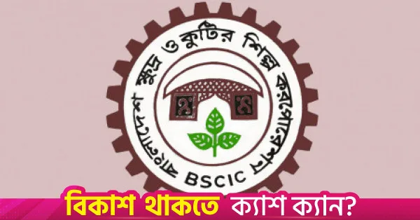 BSCIC plans to modernise historic 113-acre Kutubdia salt land