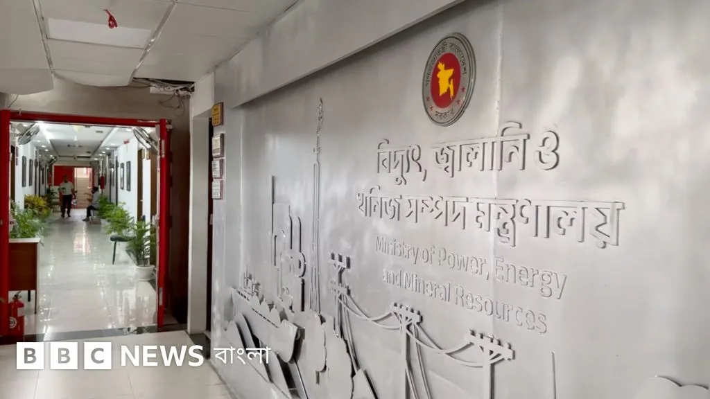 Power and Gas Crisis: Observers Question Government Response