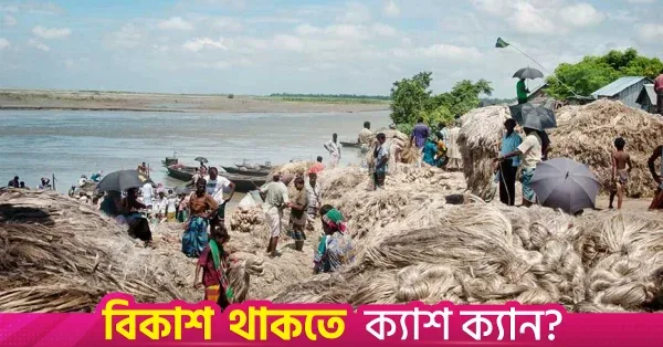 Jute sales in Rajshahi projected to reach Tk549 crore