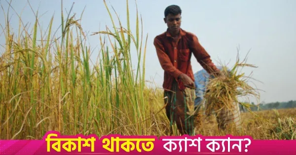 Interest rate on Tk13,000cr agri refinancing schemes capped at 7%