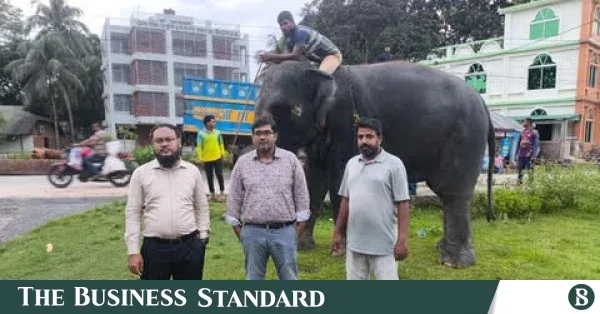 Nihar-Koli and Samrat-Bahadur return to Safari Park