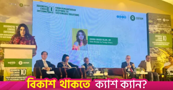 Bangladesh's humanitarian generosity must not excuse international inaction: Shama Obaed