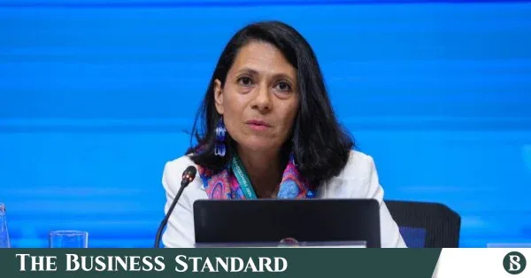 UN rapporteur commends HC order halting Cox's Bazar beach road construction