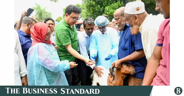 Minister announces domestic production of LSD vaccine for cattle