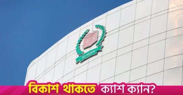 Upazila polls to be held in multiple phases: EC Secretary