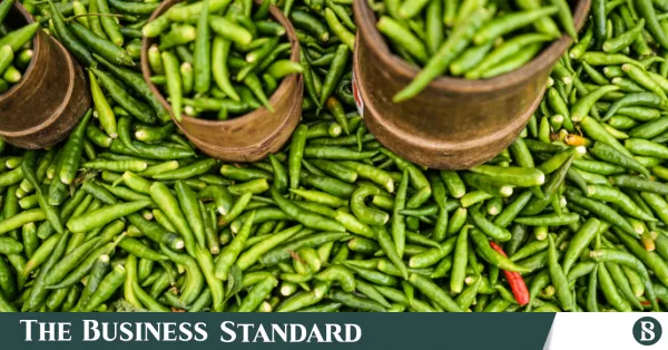 Government reduces import tax on green chillies and tomatoes to 20.5%
