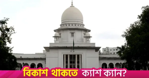 HC rejects plea for operating sleeper buses on highways