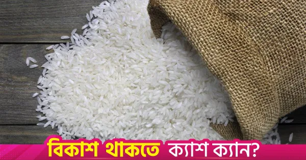 Government slashes fragrant rice export quota by 50%