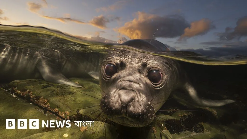 Top 10 Ocean Photographs of 2026