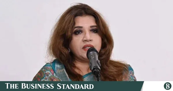 Gor's Boeing remarks likely referred to previous deal, says Shama Obaed