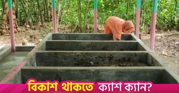 Brahmanbaria farmer achieves success in commercial earthworm farming