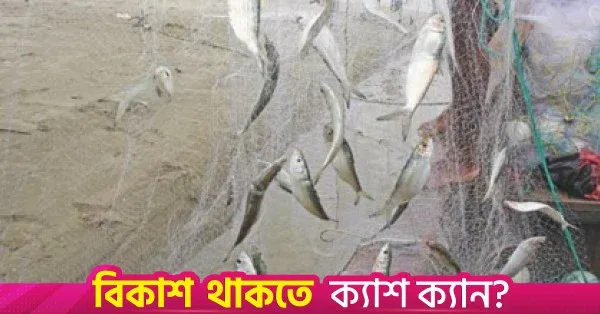 ২৫ কোটি ৭৮ লাখ টাকার অবৈধ জাল জব্দ করেছে নৌবাহিনী