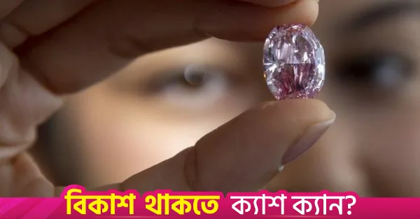 এক শতাব্দী পর ফ্রান্সে প্রদর্শনীতে ফিরল চুরি হওয়া গোলাপি হীরা